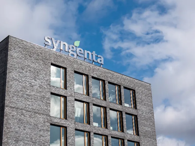 syngenta building